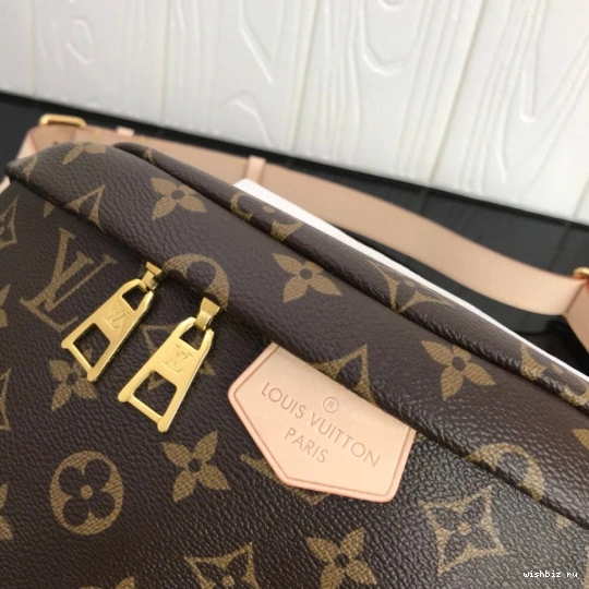 WIS Bumbag Vuitton Louis 0115